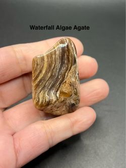 Waterfall Algae Agate from Wyoming  44.4g RARE