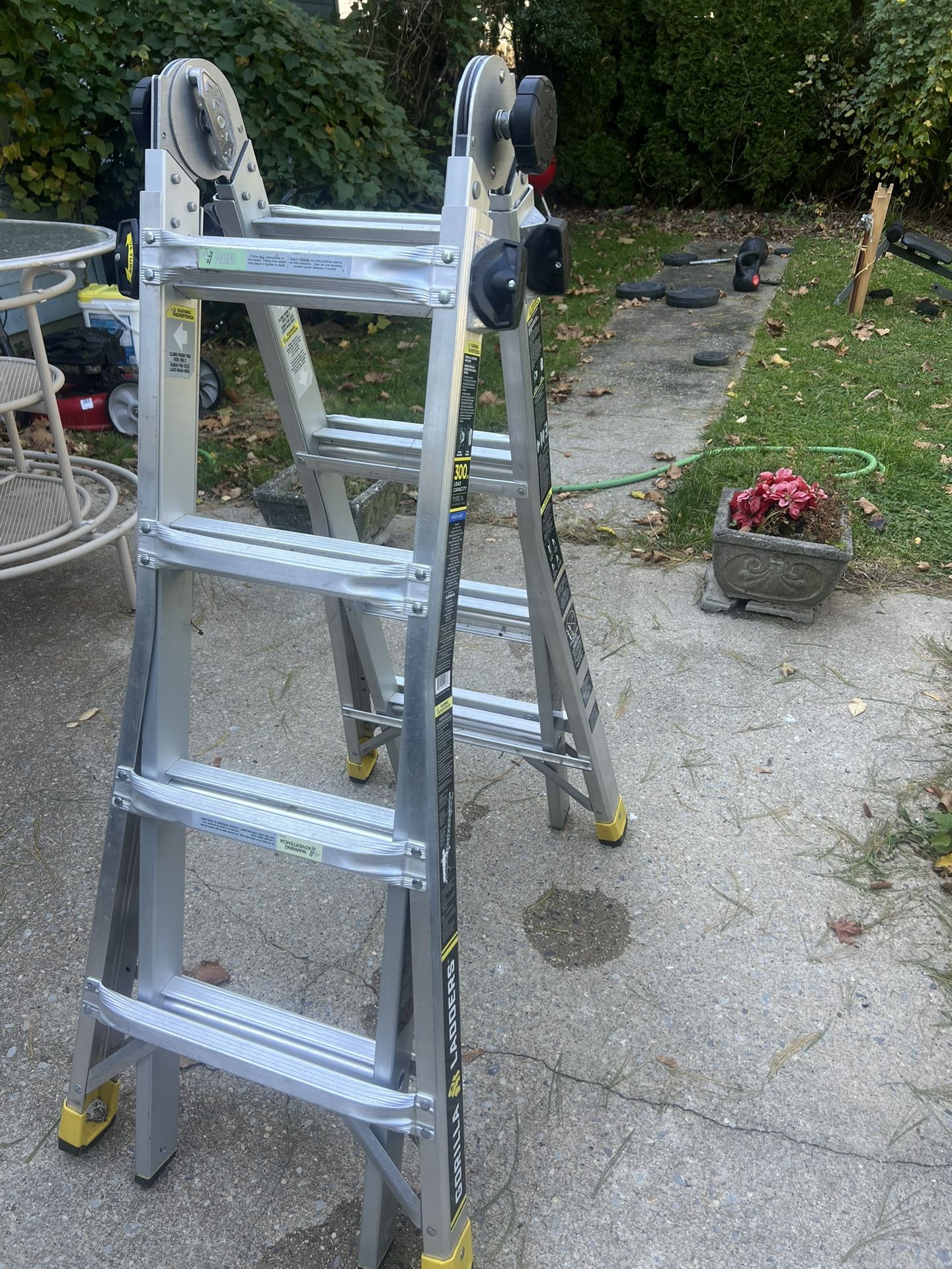 Gorilla Ladders