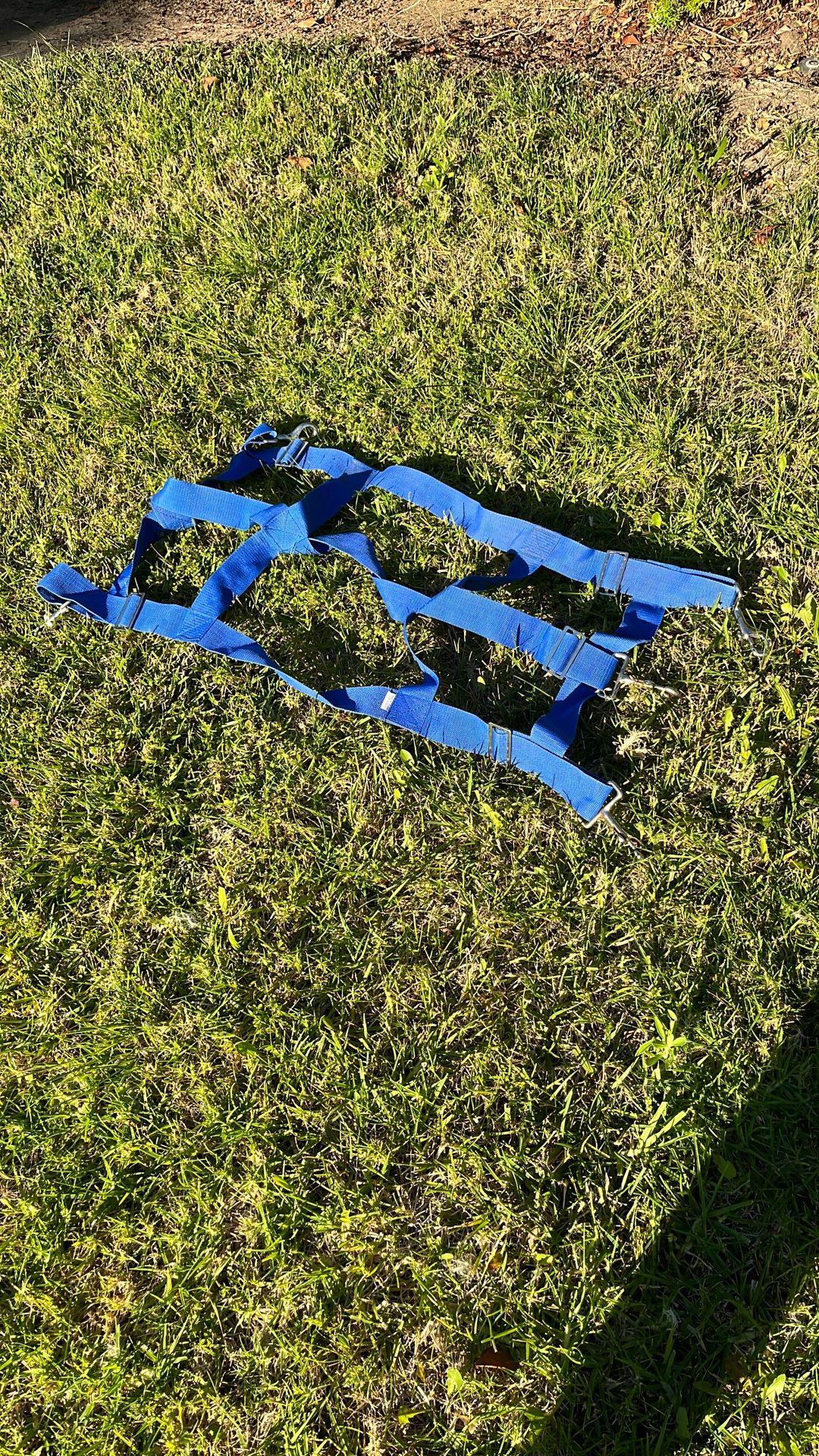 Blue stall guard 