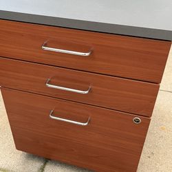 Modern File Cabinet On Wheels + Drawers