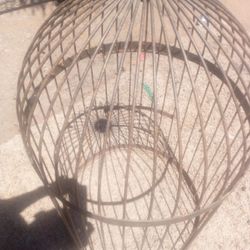 Bird Cage
