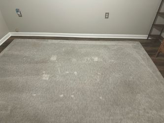 8x10 light grey area rug