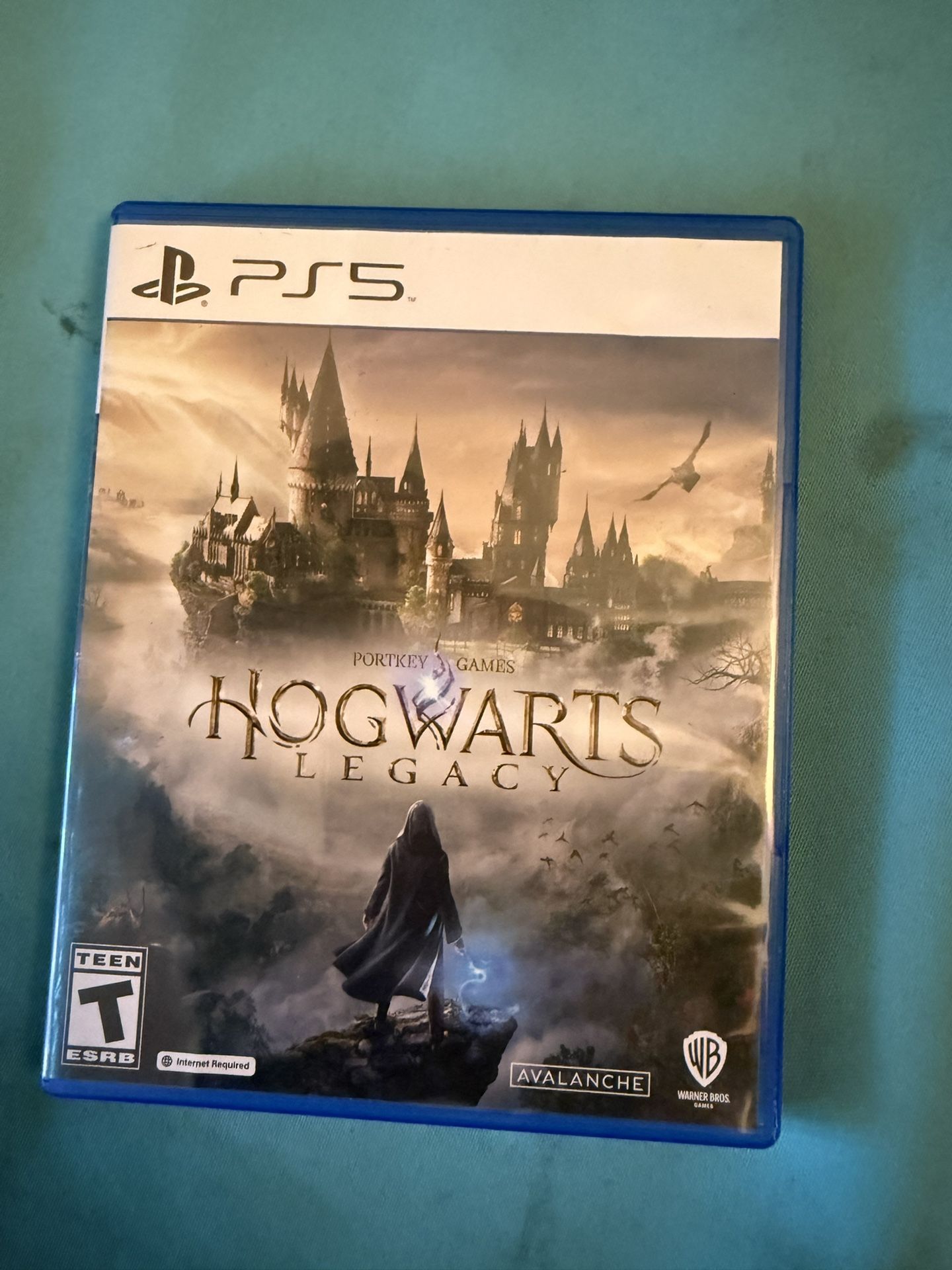 Hogwarts Legacy Ps5