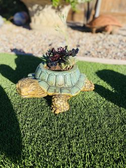 Turtle Stone Statue