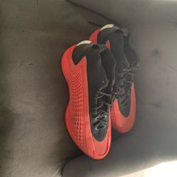 AE1’s Georgia bulldogs