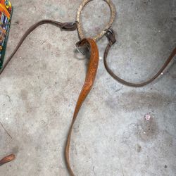 Custom Hackamore halter without halter Nose Band part of it