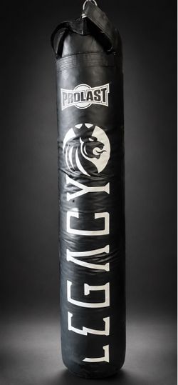 Heavy bag with ceiling attatchment