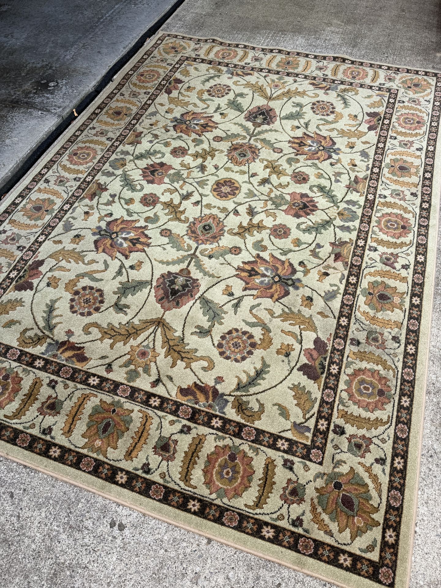 8x5+ Area Rug in good shape!
