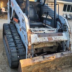 Bobcat