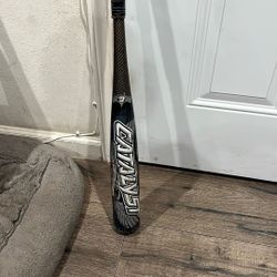 Baseball Bat