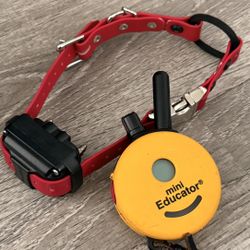 Mini Educator E-collar