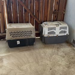 Dog Crates 