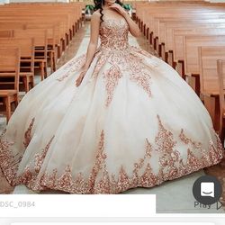 15 Dress /Quincenera Dress 