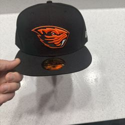 Oregon State Size 8 Fitted Hat 
