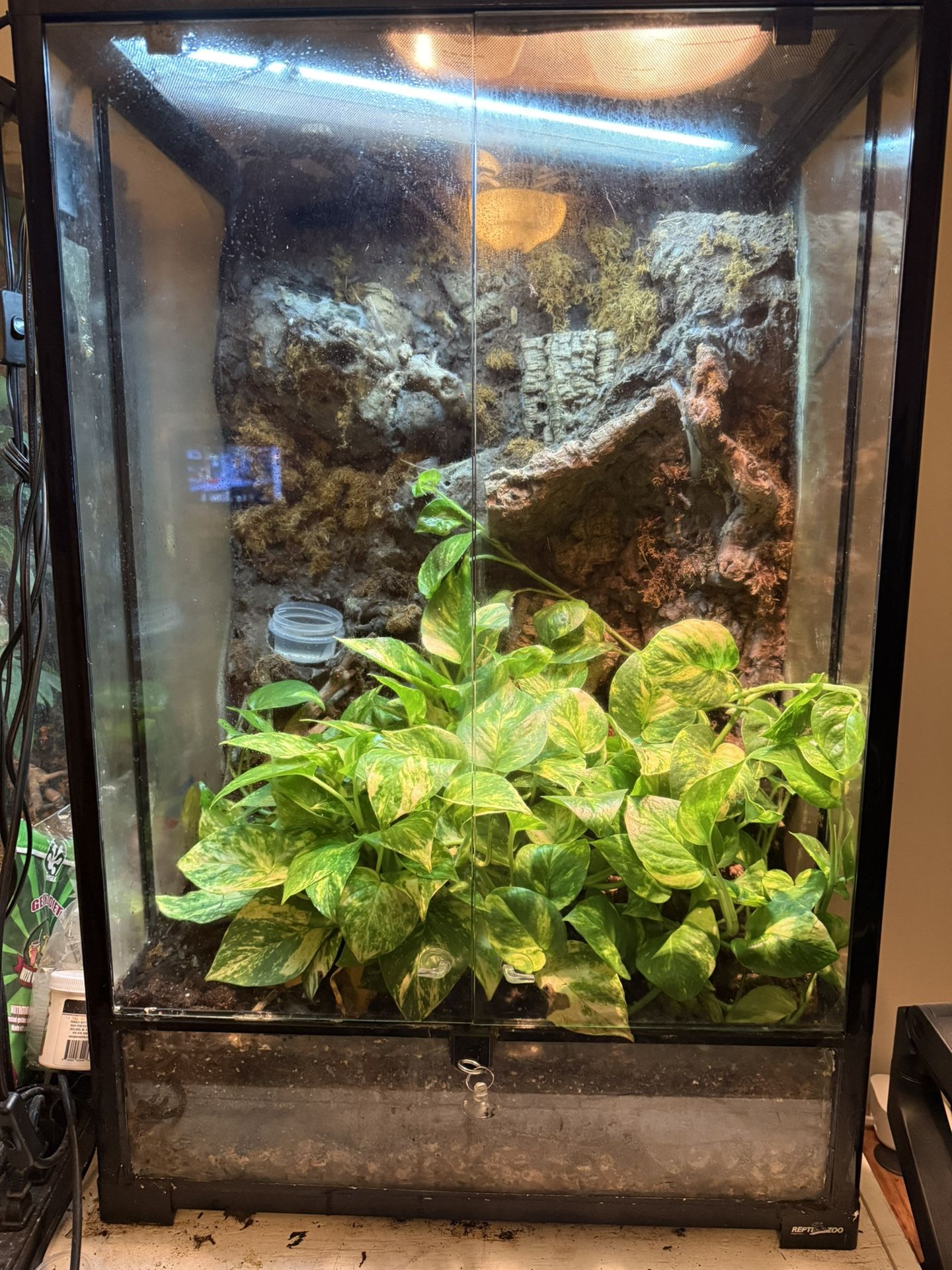 24x18x36 Tank Want To Trade For A Bigger One.