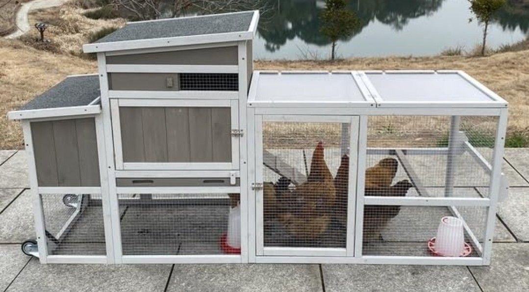 Chicken Coop New