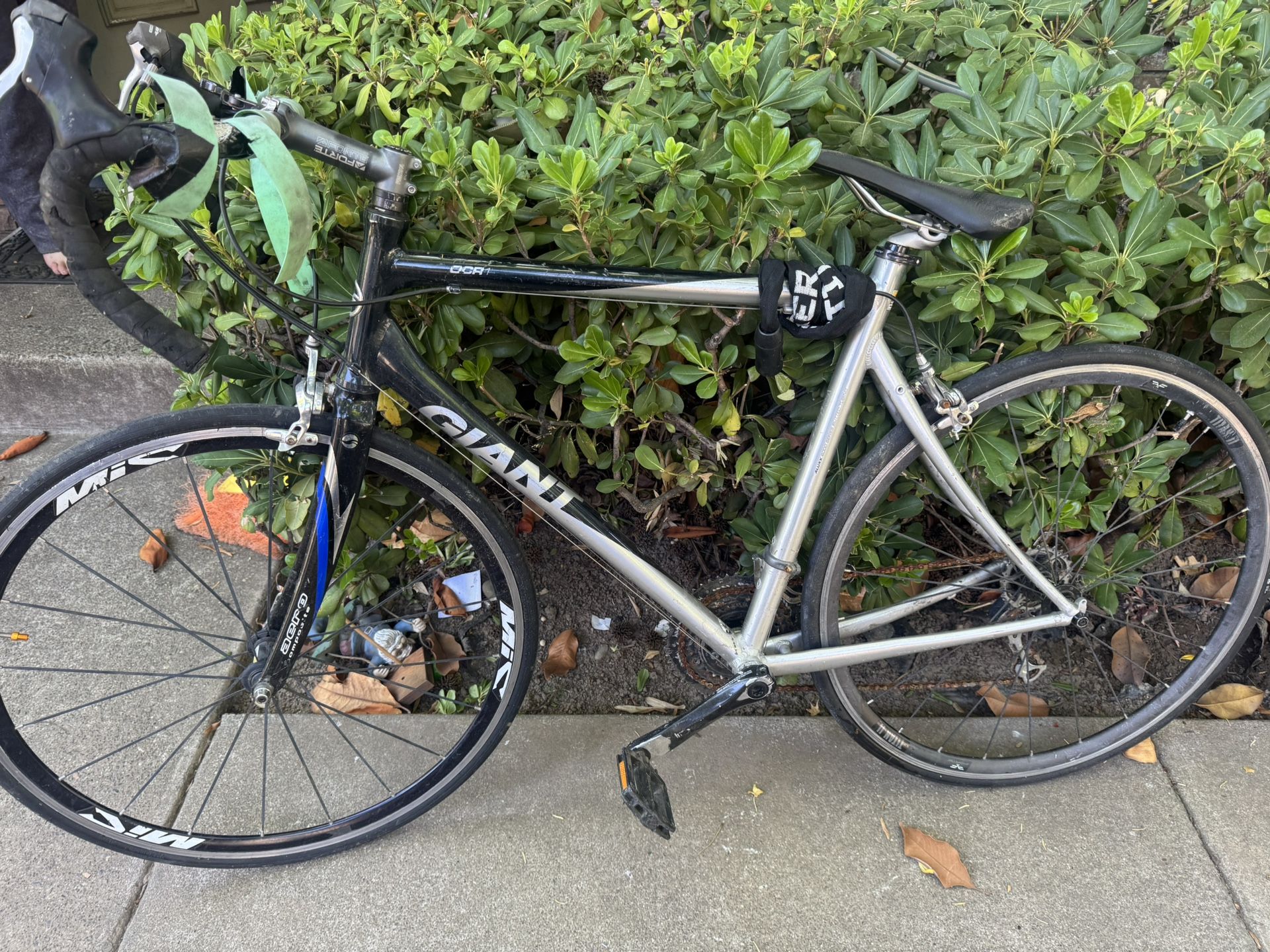 very light bike giant brand