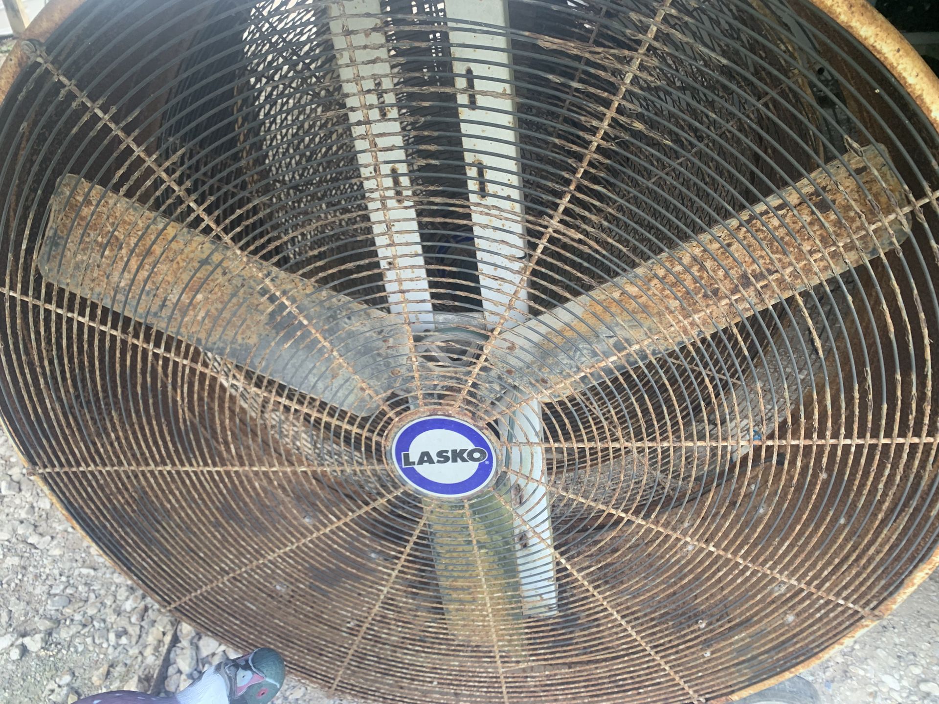 Lasko Shop Fans - have 2