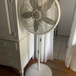 Tall Oscillating Fan - Lasko