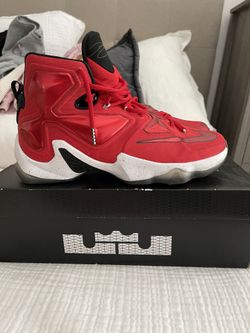LeBron 13s “On Court” Size 11.5