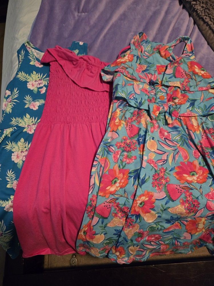 Summer Dresses