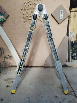 22 Foot Gorilla Ladder