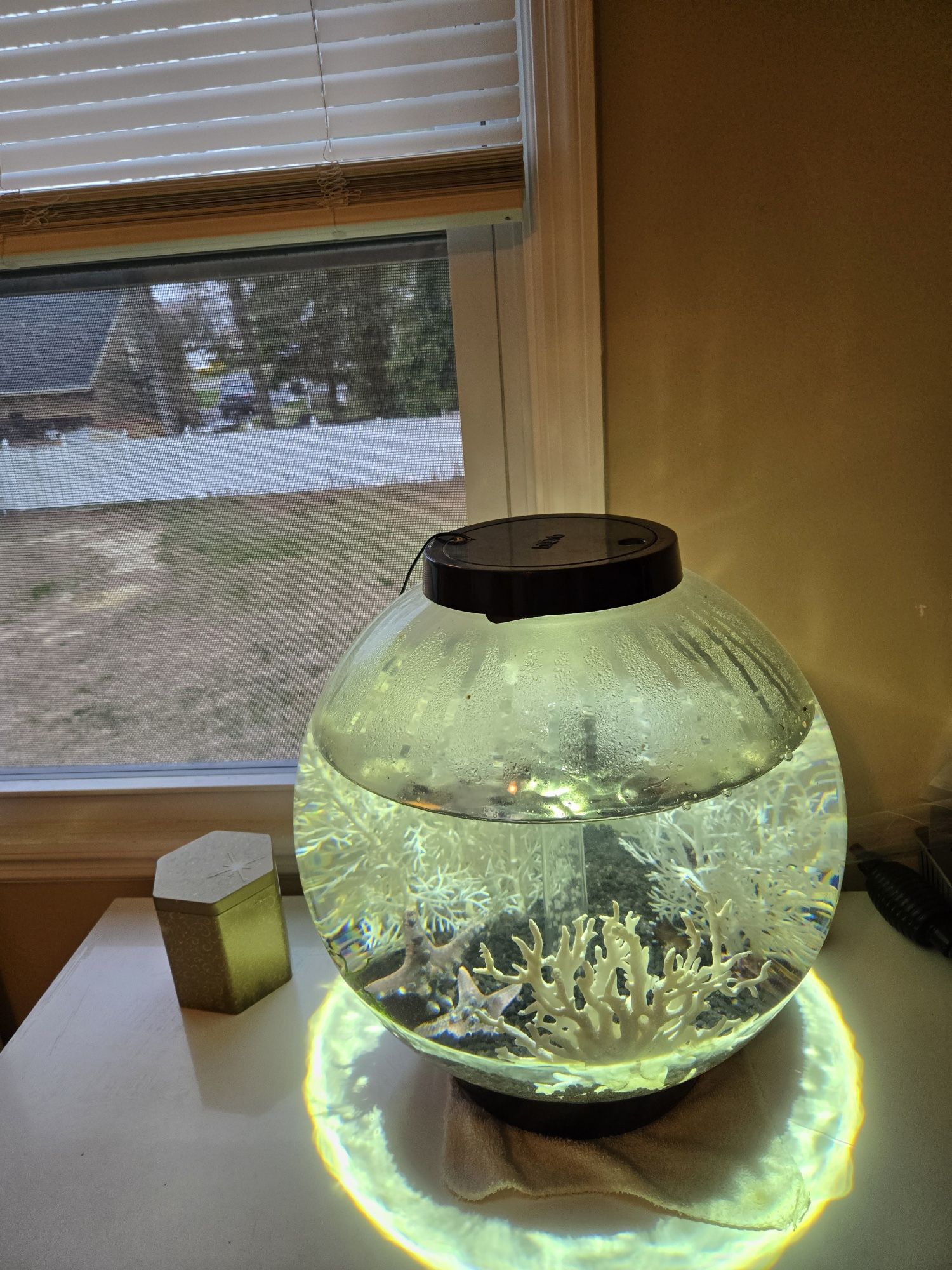 Fish Tank