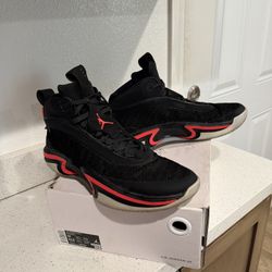 Nike Air Jordan 36 Men's Basketball Size 12