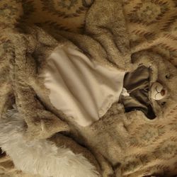 Halloween Squirrel