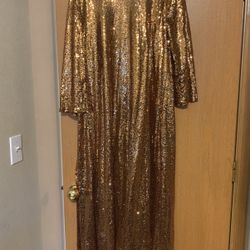Gold Sequin Dress Cover