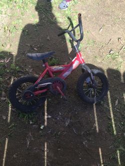 Toddlers Bike