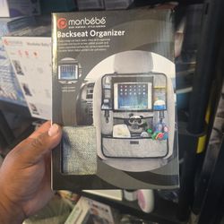 Back Seat Organizer