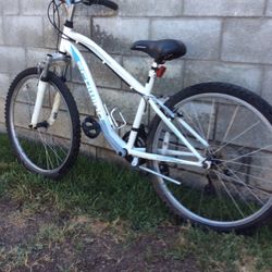 White And Blue Bike