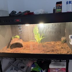 Tortoise Habitat 