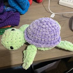 Green/purple Turtle