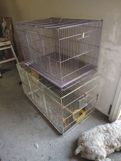 Bird Cages