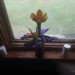 Bug On Flower