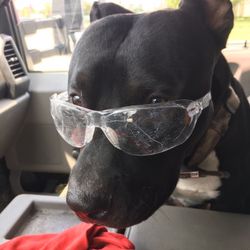 Demolitions  Clean Outs and More