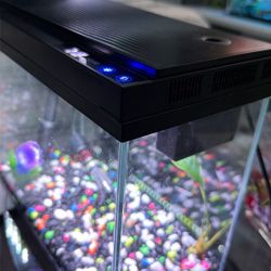 Vehipa Fish Tank, 2.4 Gallon Fish