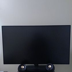 43" 4K LG Monitor 