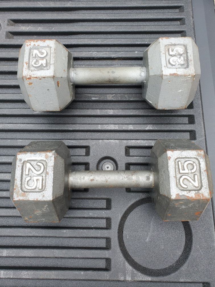 2 - 25lb steel weights
