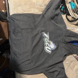 FGCU college Hoodie 