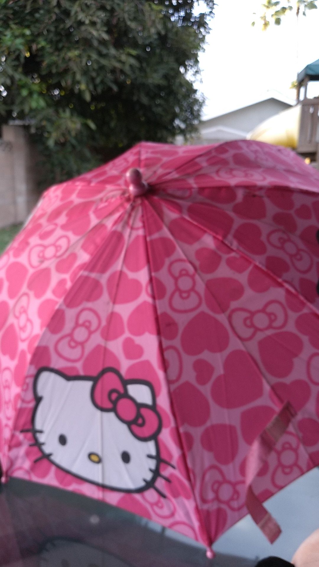 Hello kitty kids umbrella