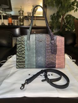 Coach Bag Real Snake Skin