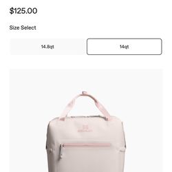 Stanley Cooler Backpack 