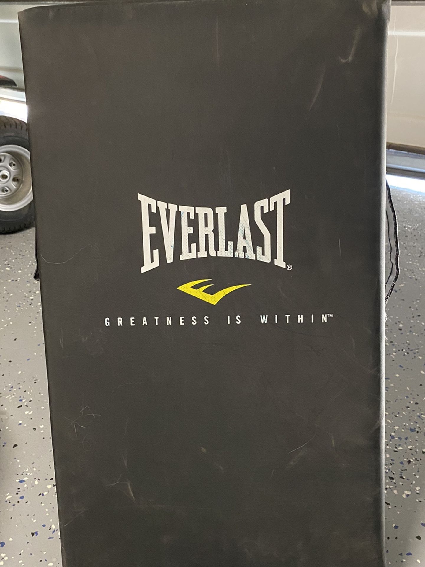 Everlast Strike Shield