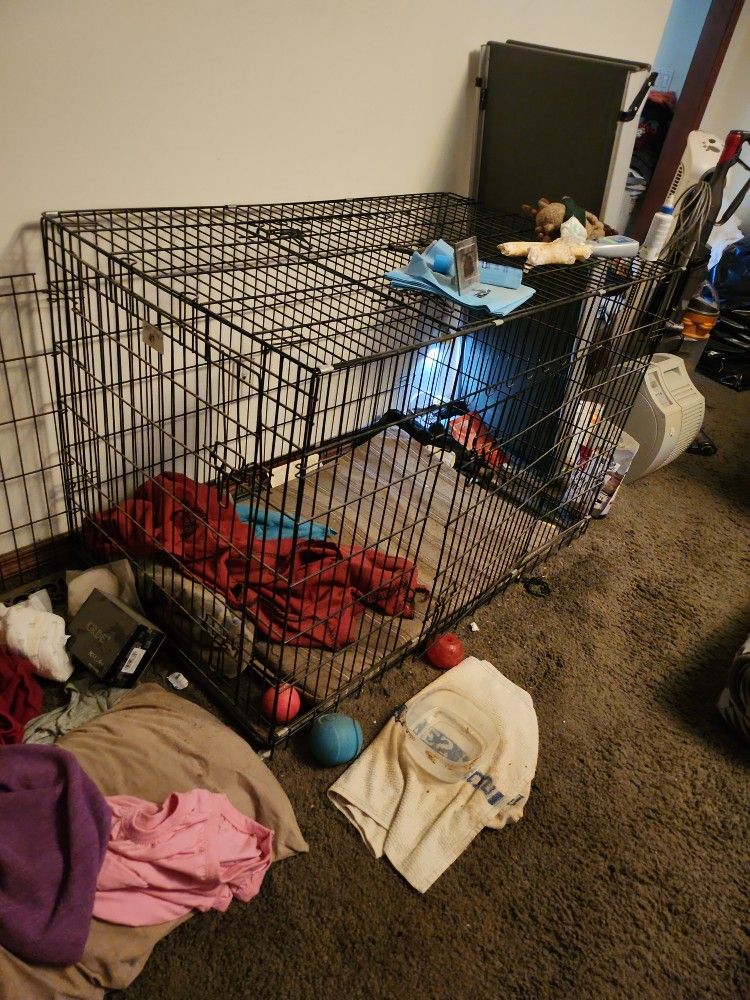 48 Inch Wire Dog Crate