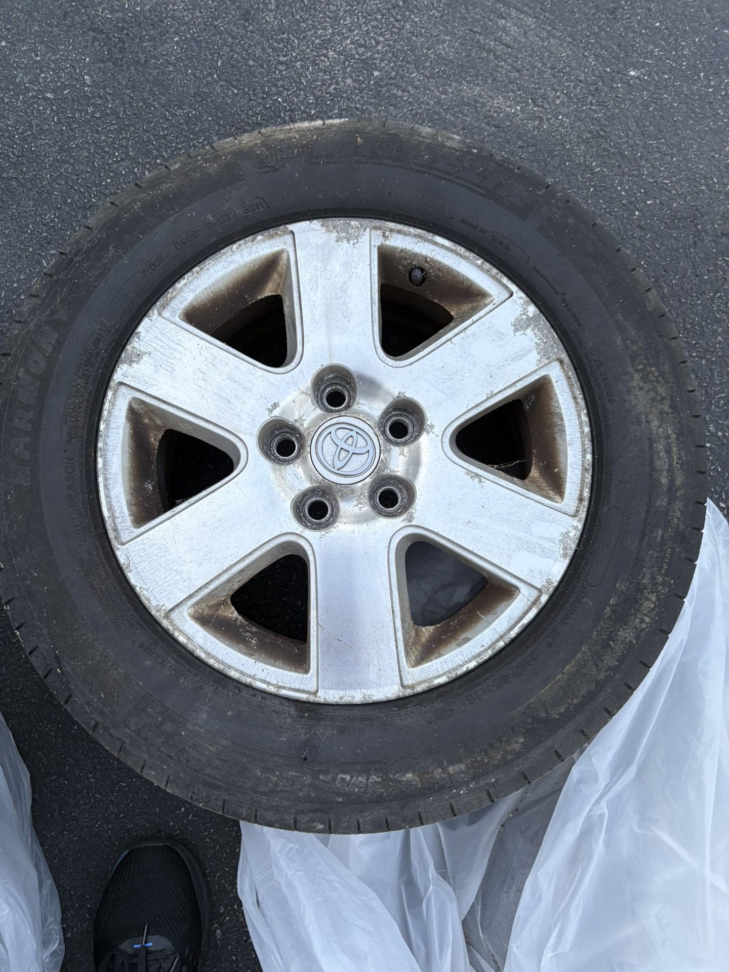 2006 Toyota Sienna