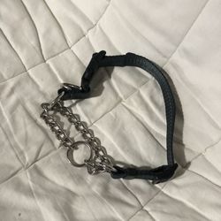 Dog Collar 