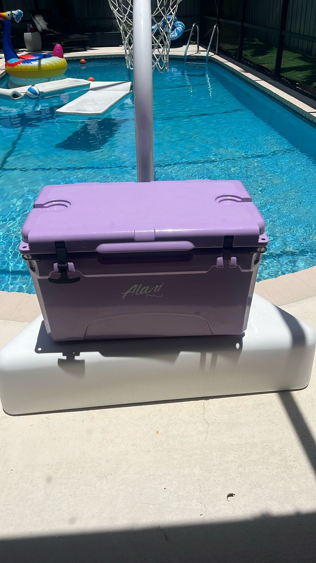 Cooler Alani Yeti